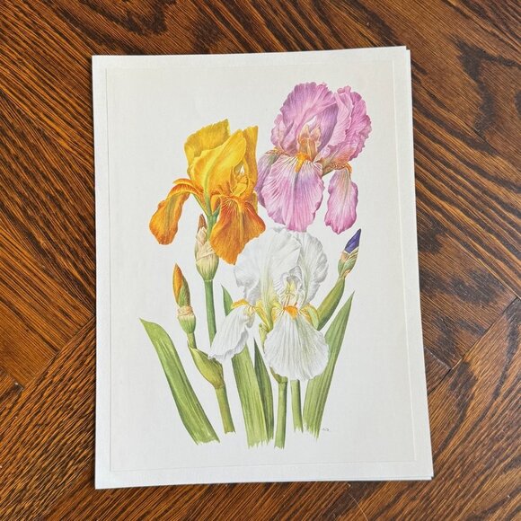 Vintage French Flower Prints Set 1 - Picture 3 of 5